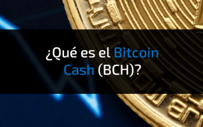 Que es el bitcoin Cash y en que se diferencia del Bitcoin