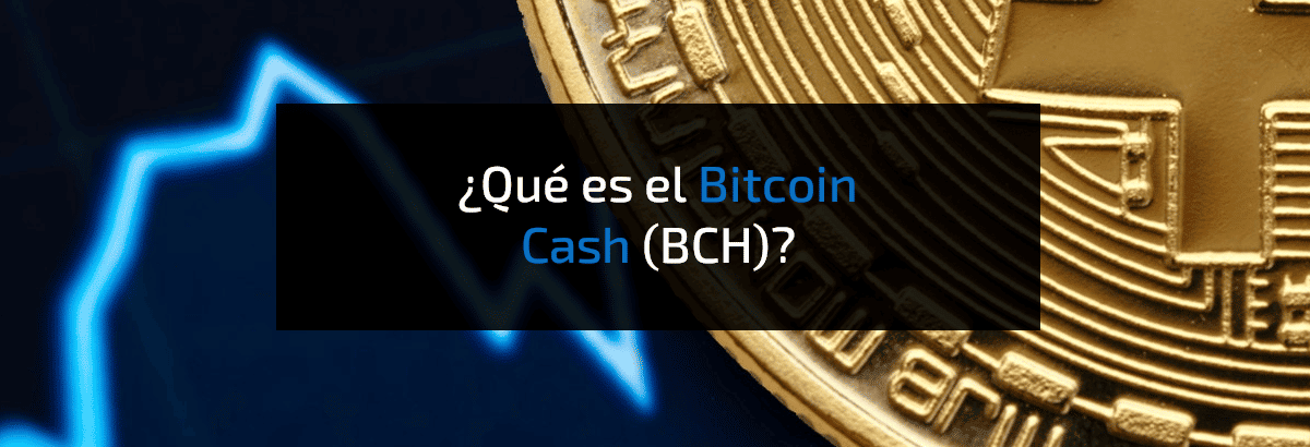 Que es Bitcoin cash