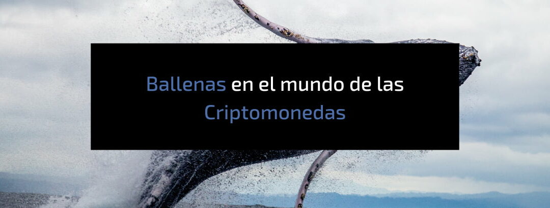 Las «Ballenas» de Criptomonedas