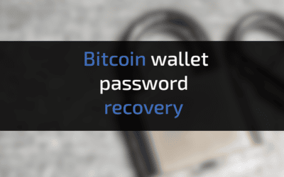 Bitcoin wallet password recovery