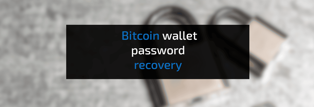 bitcoin wallet password recovery