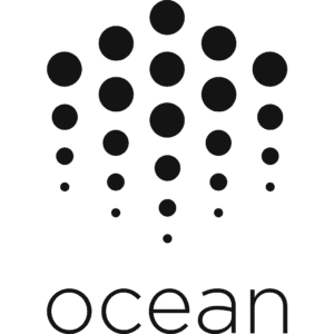 ocean protocol
