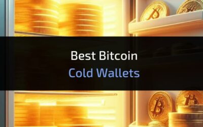 3 Best Bitcoin Cold Wallets 2024