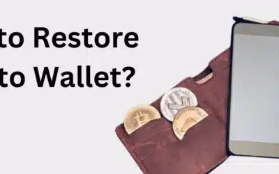 How to Backup and Restore Crypto Wallet