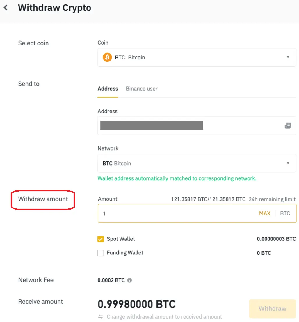 Binance withdraw amount