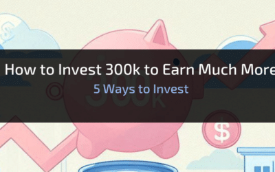 How to Invest 300k to Earn Much More: 5 Ways to Invest