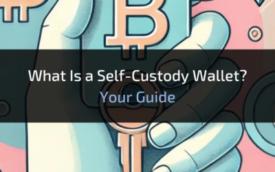 What Is a Self-Custody Wallet?