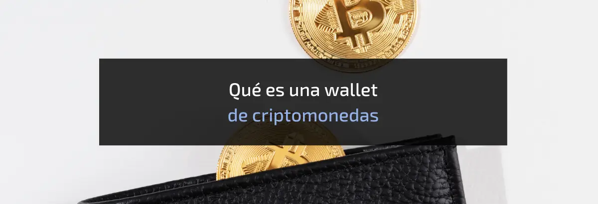 Qué es una wallet de criptomonedas