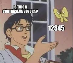 meme contraseña segura