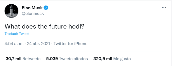 elon musk hodl